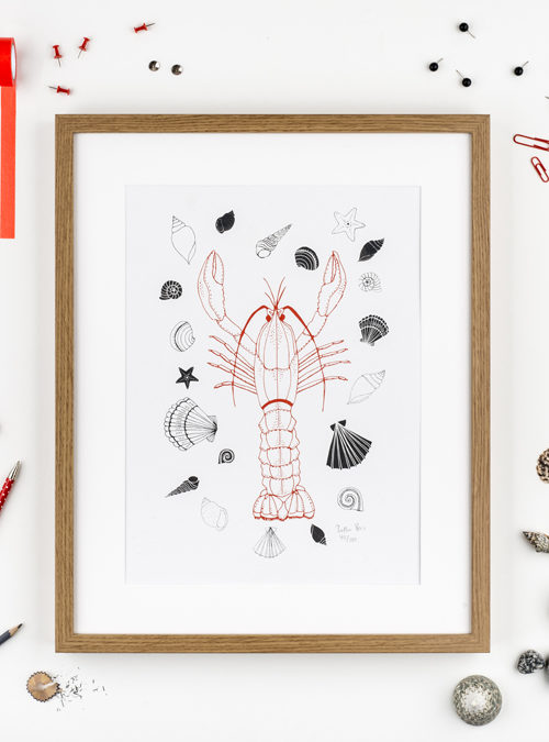 Photograph of a framed lobster print. Orange lobster illustration with shells surrounding it.