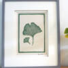 Lino print of a pair on Gingko leaves