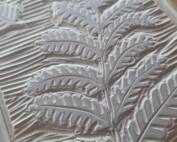 lino carving of a fern